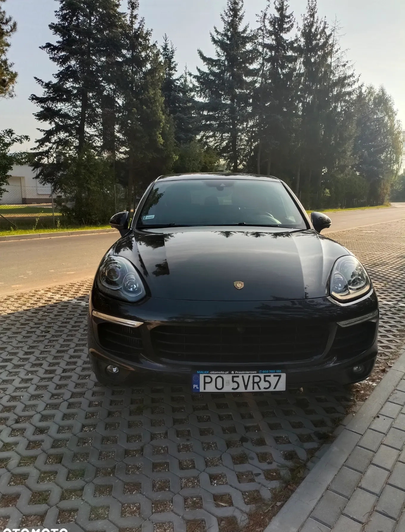 Porsche Cayenne cena 190000 przebieg: 58655, rok produkcji 2017 z Piotrków Kujawski małe 352